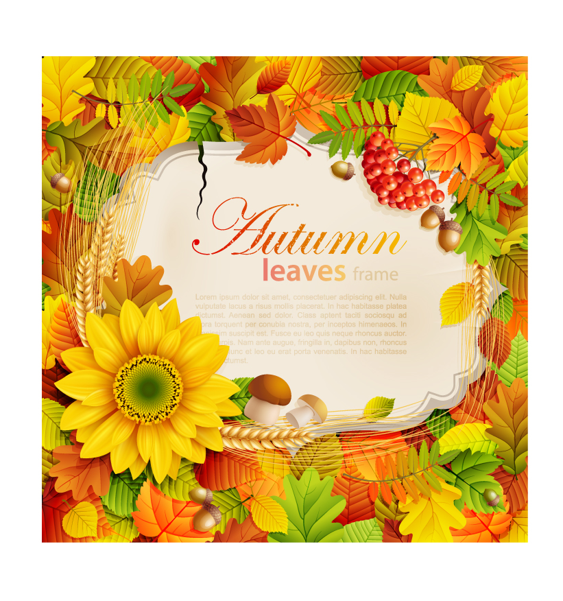 free vector Beautiful autumn leaves frame background 07 vector
